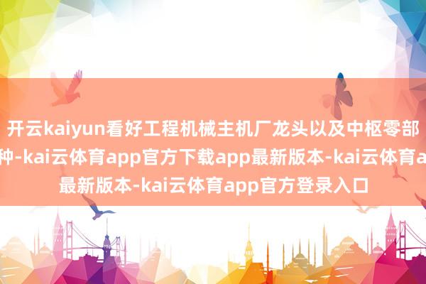 开云kaiyun看好工程机械主机厂龙头以及中枢零部件龙头等细分品种-kai云体育app官方下载app最新版本-kai云体育app官方登录入口
